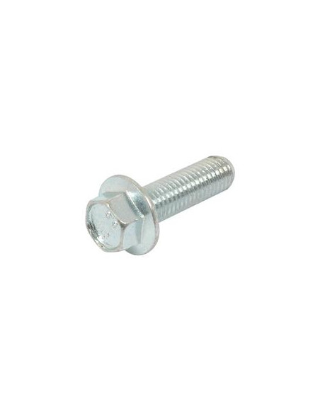 Tornillos con Ala, Tamaño: 12 x 40mm