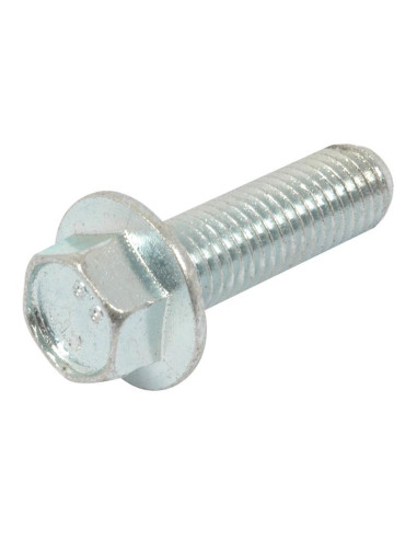 Tornillos con Ala, Tamaño: 12 x 40mm