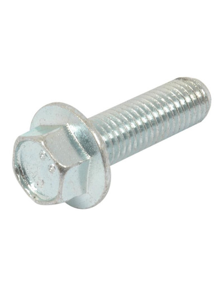 Tornillos con Ala, Tamaño: 12 x 40mm