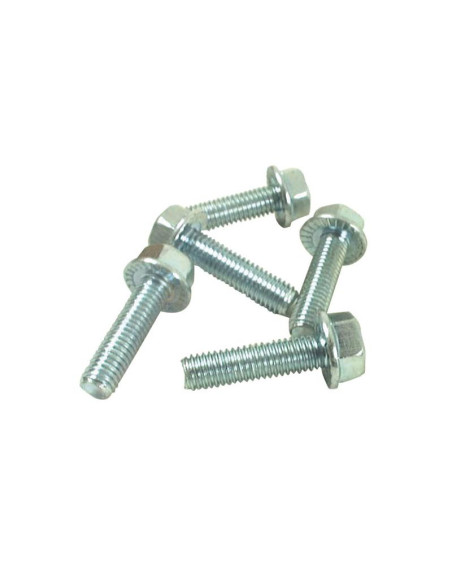 Tornillos con Ala, Tamaño: 6 x 20mm