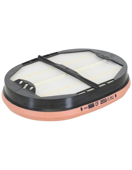 Filtro de Aire Interno