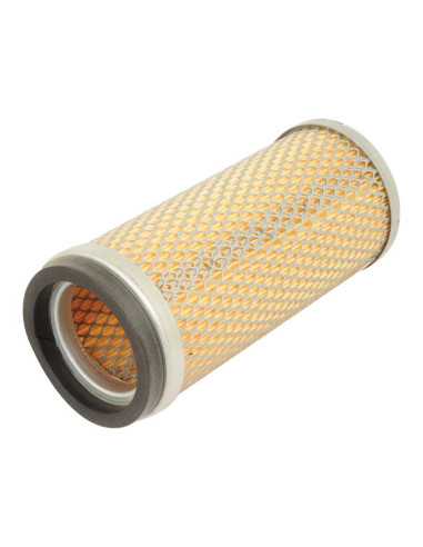 Filtro de Aire Interno - AF1857