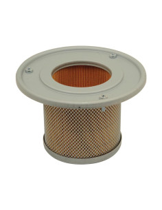 Filtro de Aire Interno - AF25301