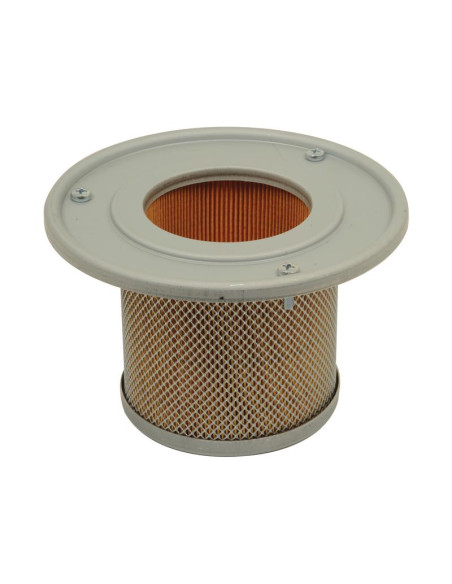 Filtro de Aire Interno - AF25301