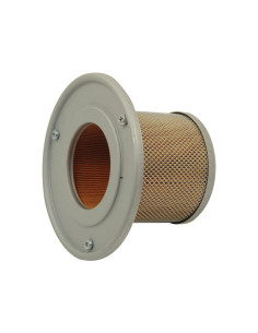 Filtro de Aire Interno - AF25301 2