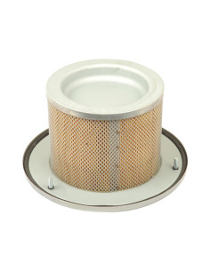 Filtro de Aire Interno - AF25334