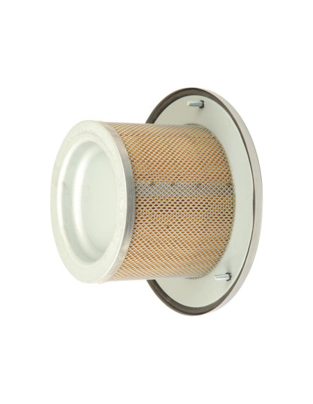 Filtro de Aire Interno - AF25334