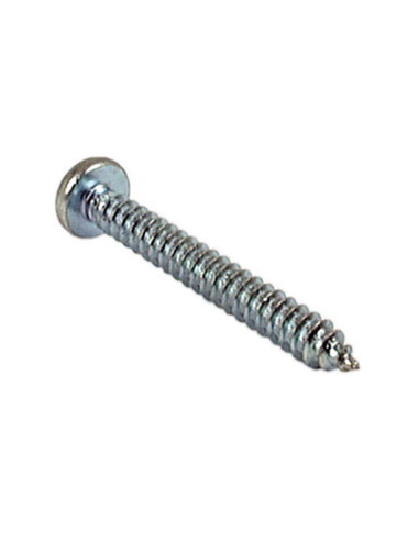 Tornillo Autorroscable, Tamaño: No.10 x 1''...