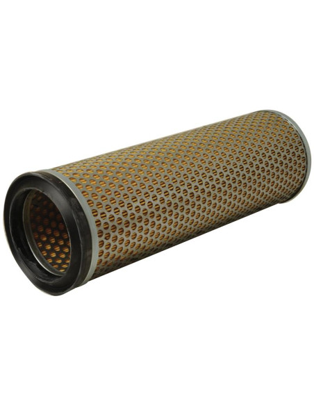 Filtro de Aire Interno - AF25357