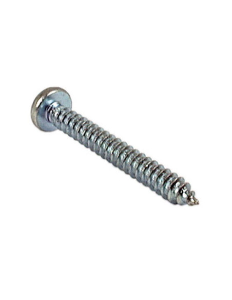 Tornillo Autorroscable, Tamaño: No.10 x 3/4'' (Din 7971B)