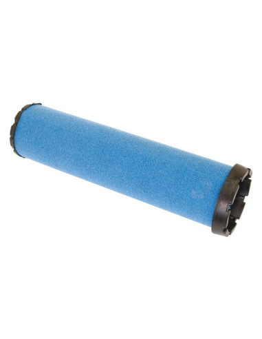 Filtro de Aire Interno - AF25491