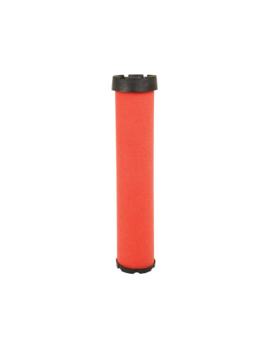 Filtro de Aire Interno - AF25521