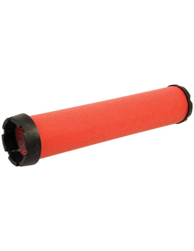 Filtro de Aire Interno - AF25521