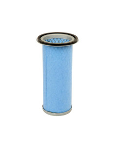 Filtro de Aire Interno - AF25529