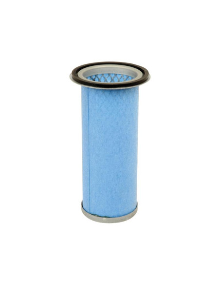 Filtro de Aire Interno - AF25529