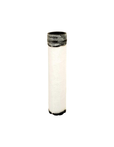 Filtro de Aire Interno - AF25552