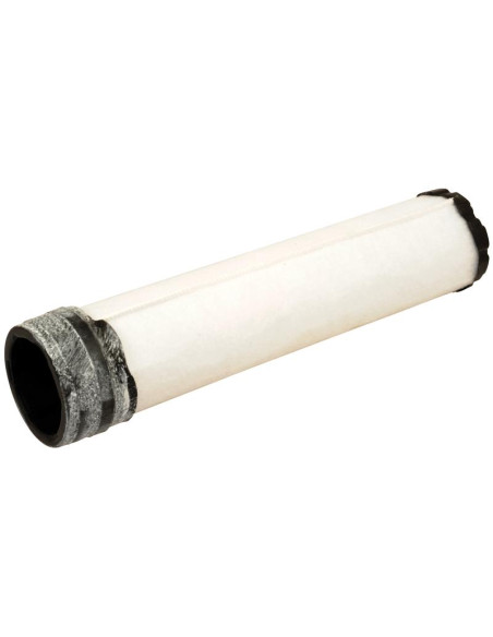 Filtro de Aire Interno - AF25552