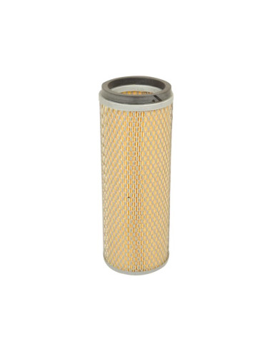 Filtro de Aire Interno - AF25686