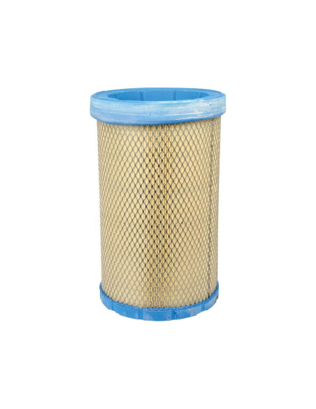 Filtro de Aire Interno - AF25711