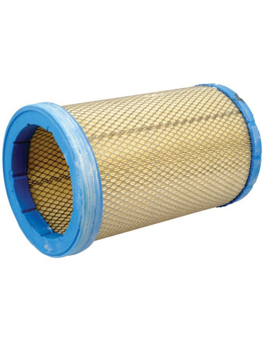 Filtro de Aire Interno - AF25711