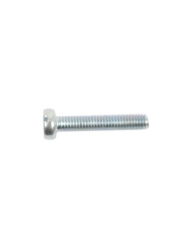 Tornillo Cabeza Redonda Métrica, Tamaño: M5 x 12mm (Din 84)