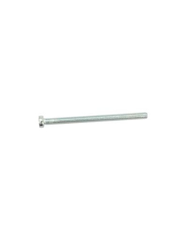 Tornillo Cabeza Redonda Métrica, Tamaño: M5 x 16mm (Din 84)