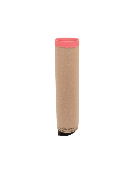 Filtro de Aire Interno - AF26394