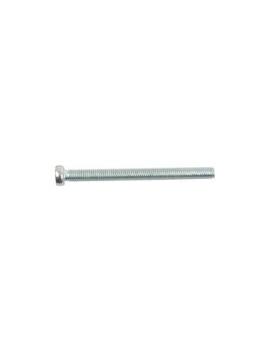 Tornillo Cabeza Redonda Métrica, Tamaño: M5 x 60mm (Din 84)