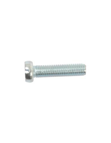 Tornillo Cabeza Redonda Métrica, Tamaño: M6 x 25mm (Din 84)