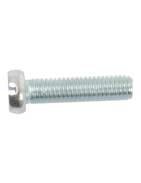 Tornillo Cabeza Redonda Métrica, Tamaño: M6 x 25mm (Din 84)