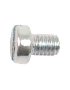 Tornillo Cabeza Redonda Métrica, Tamaño: M6 x 8mm (Din 84)