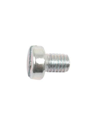 Tornillo Cabeza Redonda Métrica, Tamaño: M6 x 8mm (Din 84)