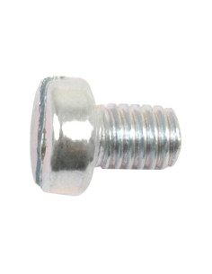 Tornillo Cabeza Redonda Métrica, Tamaño: M6 x 8mm (Din 84) 2