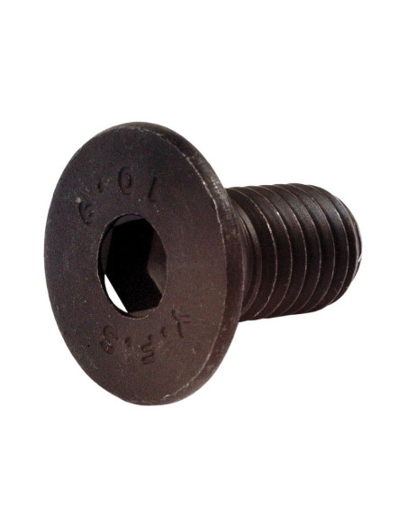 Tornillos Cabeza Avellanada, Tamaño: 10 x 20mm (Din 7991)