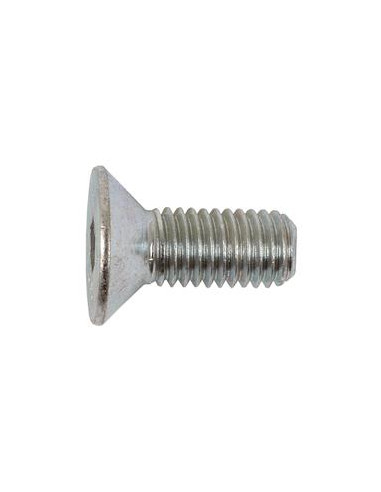 Tornillos Cabeza Avellanada, Tamaño: 10 x 25mm (Din 7991)