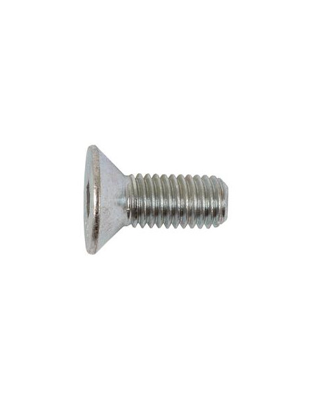 Tornillos Cabeza Avellanada, Tamaño: 10 x 25mm (Din 7991)