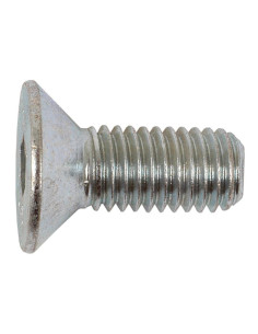 Tornillos Cabeza Avellanada, Tamaño: 10 x 25mm (Din 7991) 2