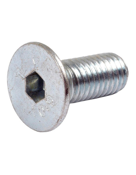 Tornillos Cabeza Avellanada, Tamaño: 10 x 25mm (Din 7991)