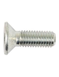 Tornillos Cabeza Avellanada, Tamaño: 10 x 30mm (Din 7991)