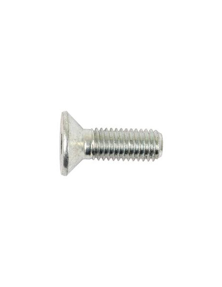 Tornillos Cabeza Avellanada, Tamaño: 10 x 30mm (Din 7991)