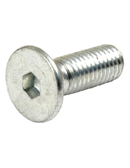 Tornillos Cabeza Avellanada, Tamaño: 10 x 30mm (Din 7991)