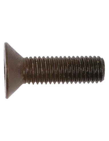 Tornillos Cabeza Avellanada, Tamaño: 10 x 35mm...