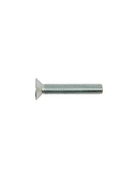 Tornillos Cabeza Avellanada, Tamaño: 10 x 60mm (Din 7991)