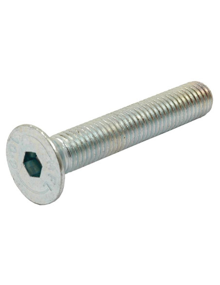 Tornillos Cabeza Avellanada, Tamaño: 10 x 60mm (Din 7991)