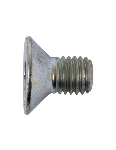 Tornillos Cabeza Avellanada, Tamaño: 12 x 20mm...