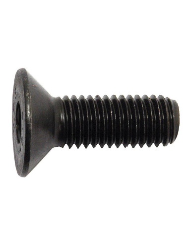 Tornillos Cabeza Avellanada, Tamaño: 12 x 35mm...