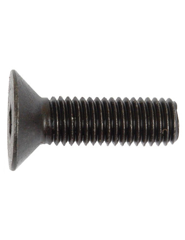 Tornillos Cabeza Avellanada, Tamaño: 12 x 40mm...