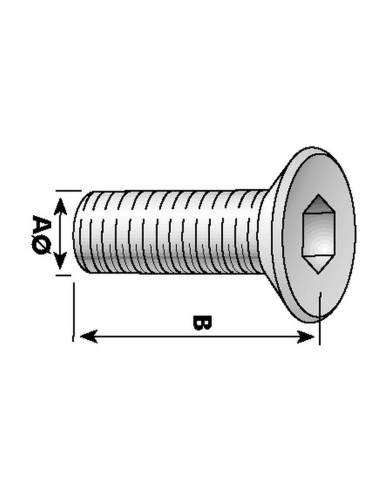 Tornillos Cabeza Avellanada, Tamaño: 12 x 40mm...