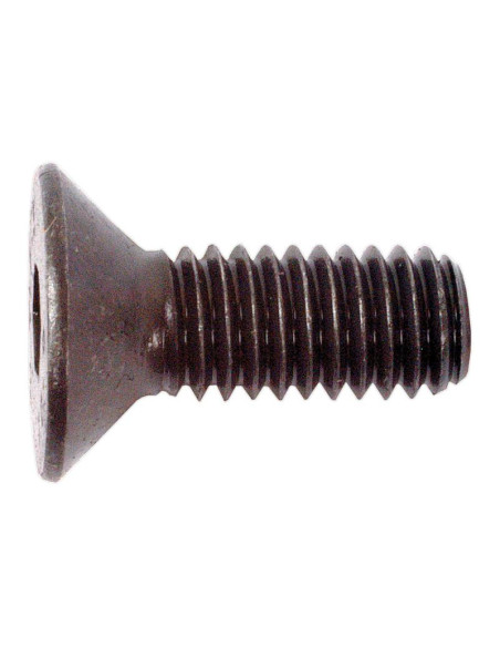 Tornillos Cabeza Avellanada, Tamaño: 6 x 16mm (Din 7991)