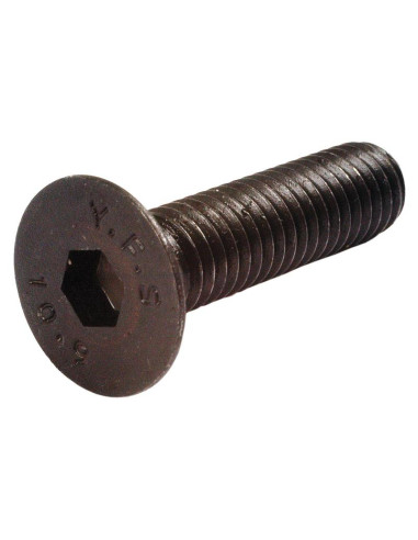 Tornillos Cabeza Avellanada, Tamaño: 6 x 25mm...